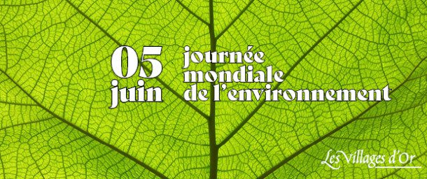 5_juin_journee_mondiale_de_lenvironnement