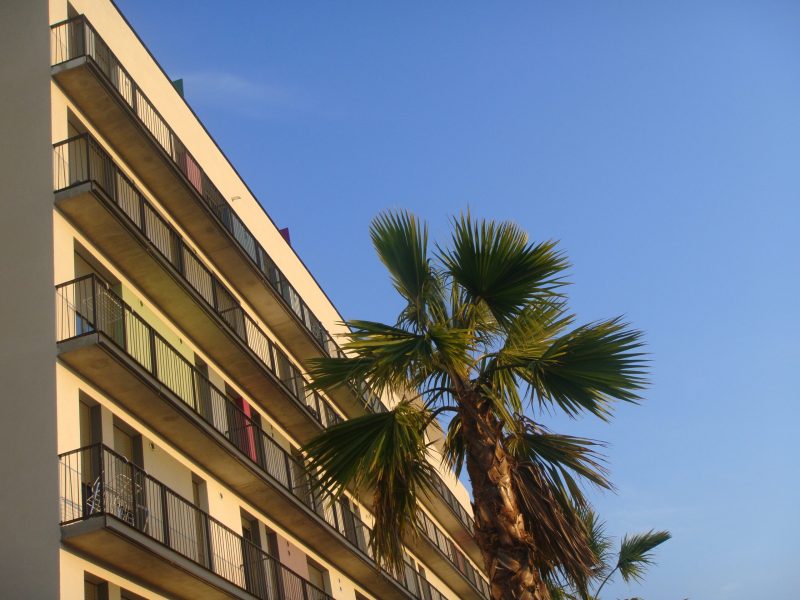 'Or St Hilaire Montpellier 051