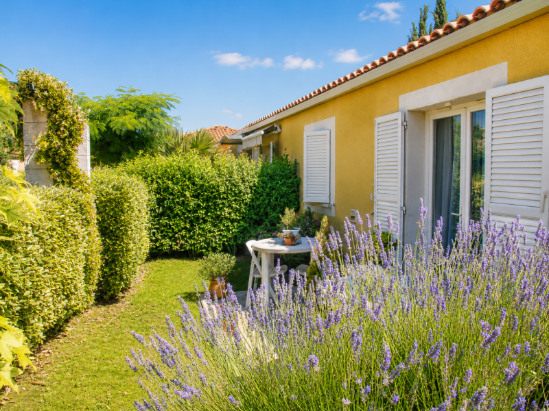 'Or Castelnau le Lez (1)