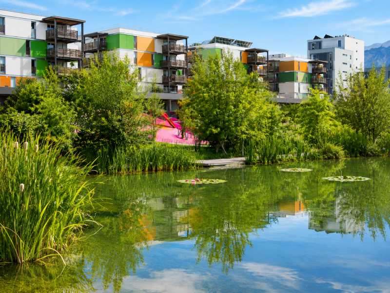 'Or Grenoble (2)