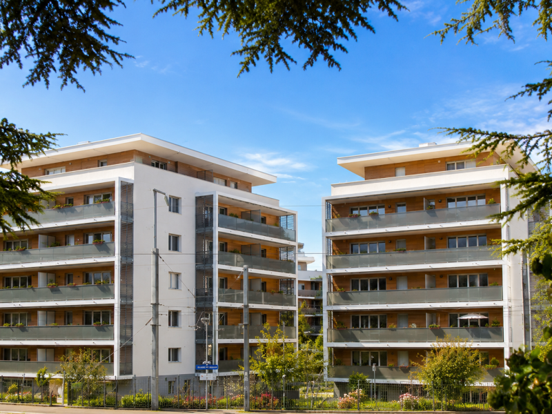'Or Thonon les Bains (4)