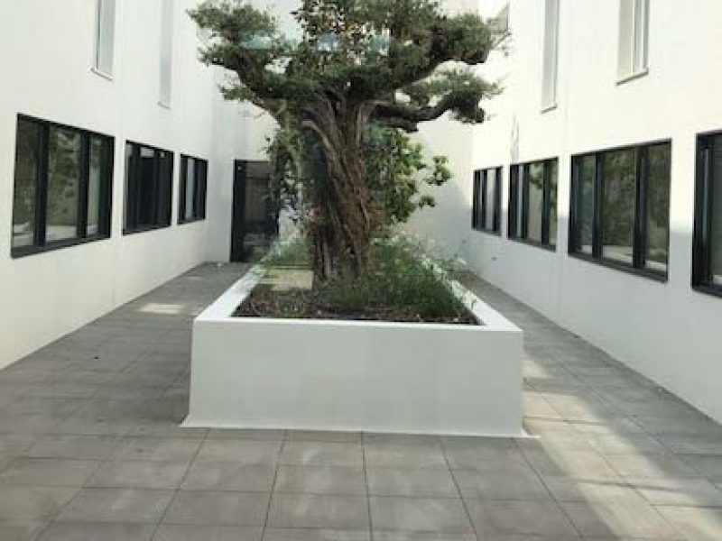 garden_berthelot_5_edited