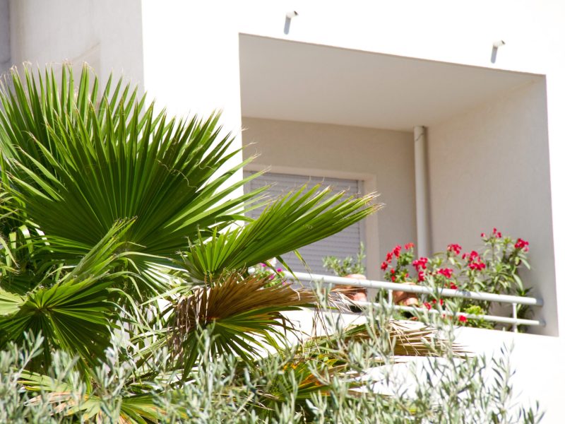 nimes-001-2_l_ferrarri_3_ret_bd_web